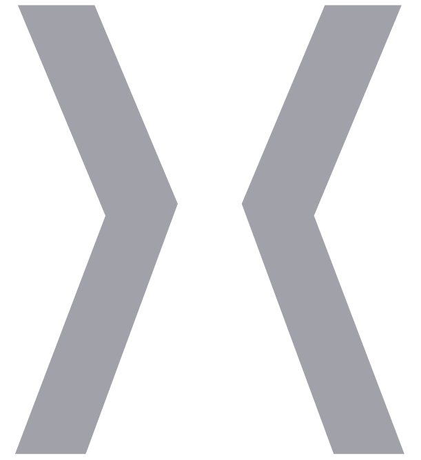 NoxNoctis Logo